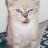 FloamyMagee's profile image