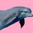 thaComedyTweets's profile image