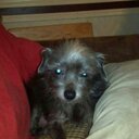 Markie White - @white_markie - Twitter