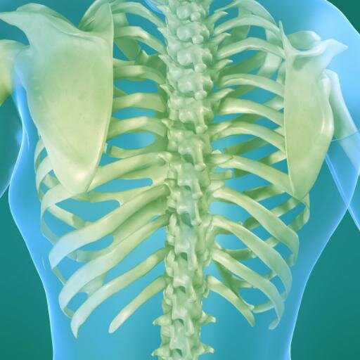 MetroHealthWB's profile picture. Leading Physiotherapy provider with clinics situated in Bolton, Middleton, Prenton, Salford and Stockport.