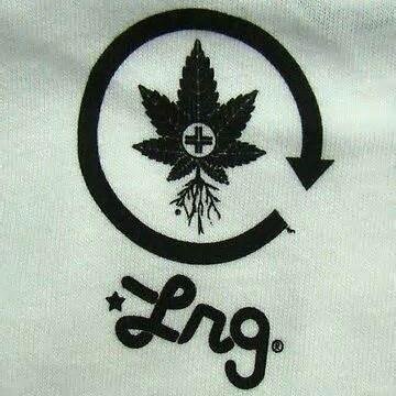 terrorsquad2001's profile picture. 