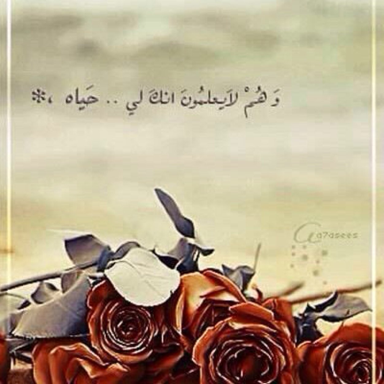 سبحااان الله