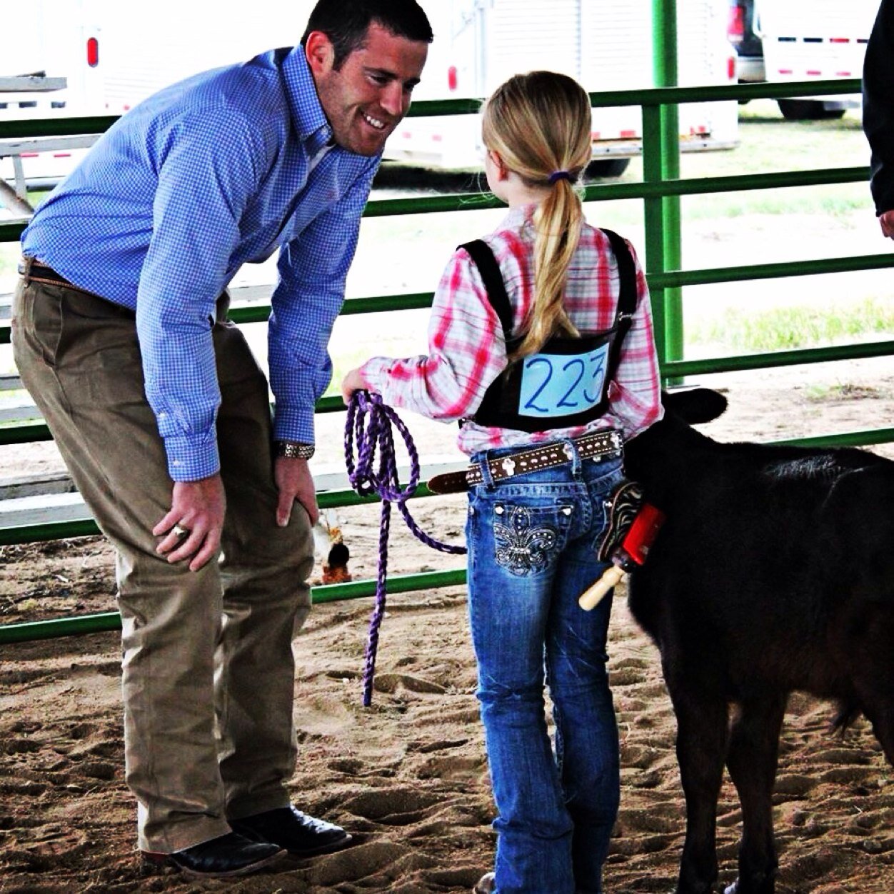 arnoldcattle's profile picture. 