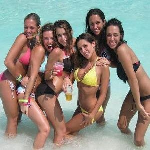springbreak_ok Profile Picture
