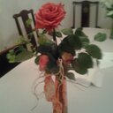 Joan Spring - @joan_c_spring - Twitter