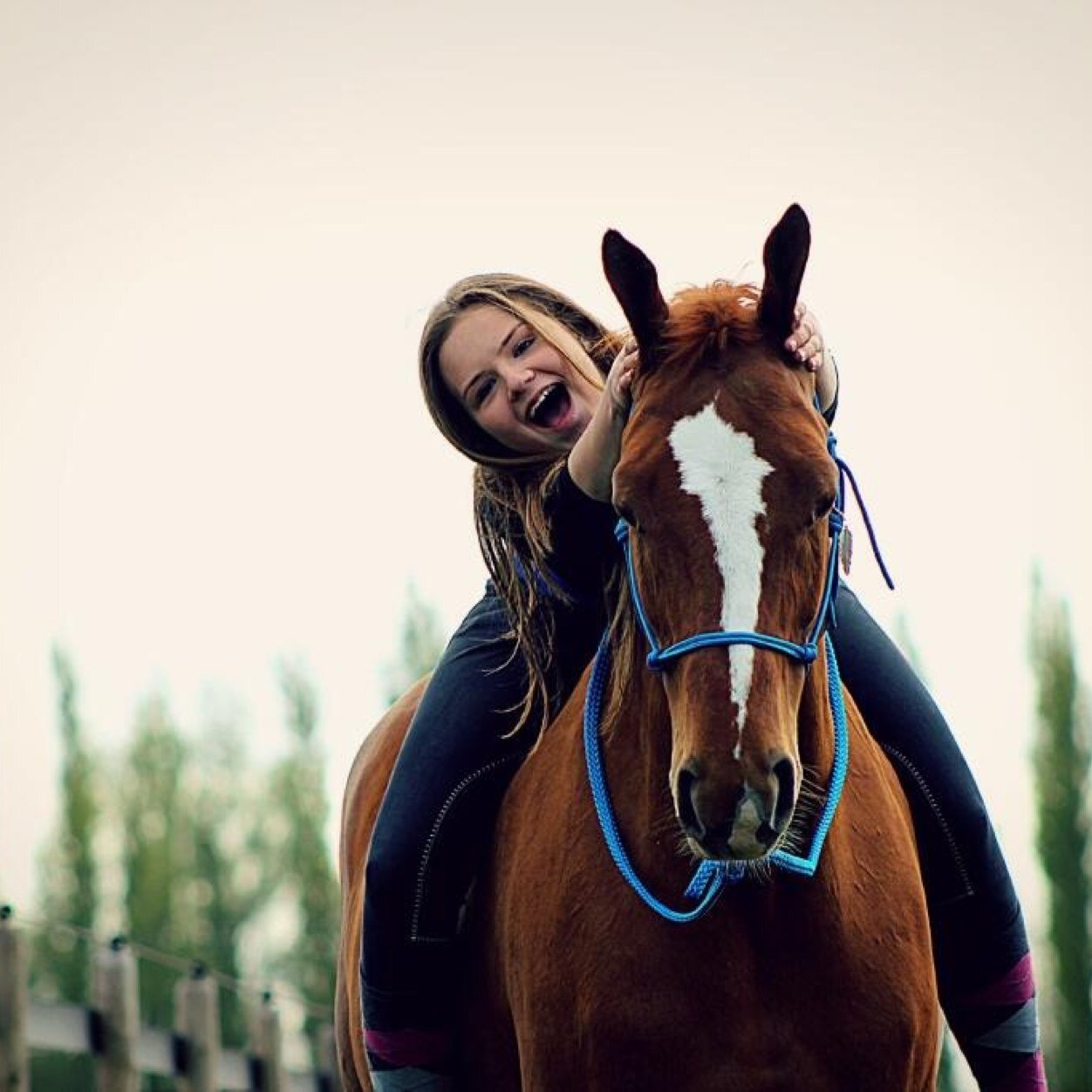 Alles over paarden-en nog veel meer-since 16-03-2013-ik ben 14-MAAK ONZE KNOP BLAUW x- Volg mn andere acc @MTekeningen voor een tekening van jou paard!!!
