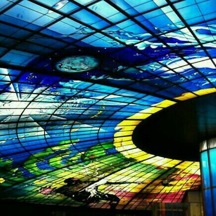 carter_chin's profile picture. 