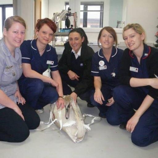 We look forward to see/hear from you! :) 01642 604555 - Preston Farm Surgery. 01642 587777 - Hartburn Surgery