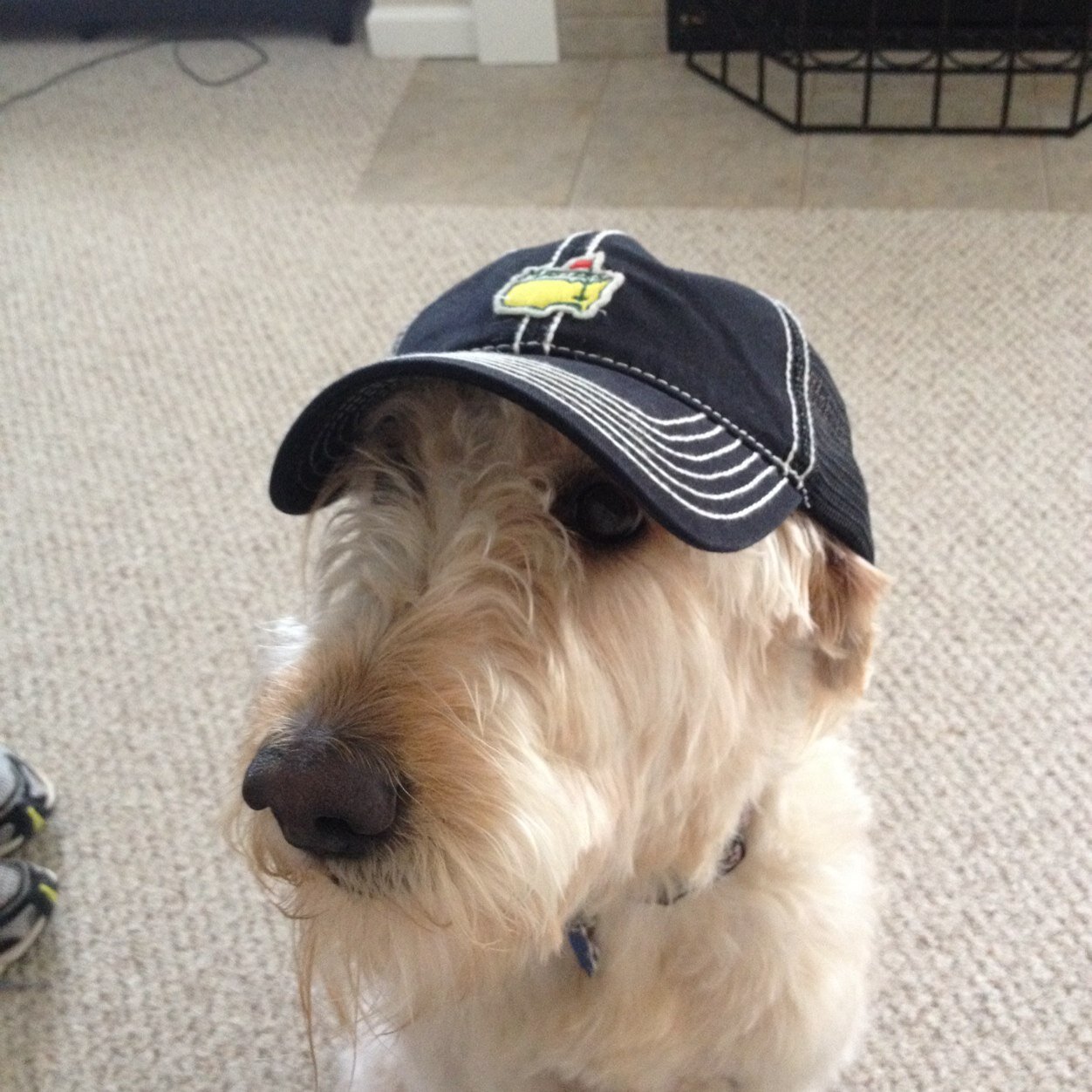 RNDive's profile picture. 