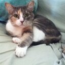 Erika Butcher - @hldnsmm - Twitter