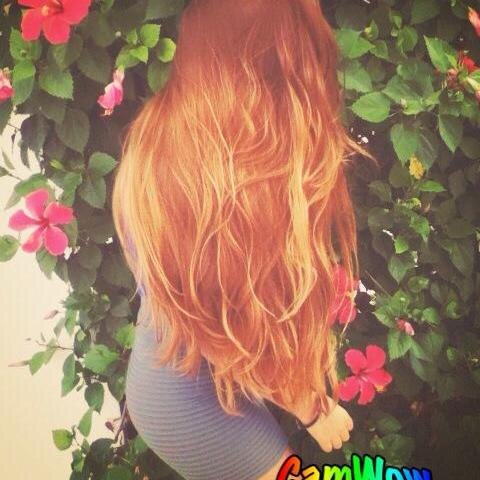 OvFeer's profile picture. 