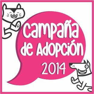 Campaña Municipal de Protección a Animales Domésticos. ¡Gracias a Todos Salamanca Hoy es Mejor!