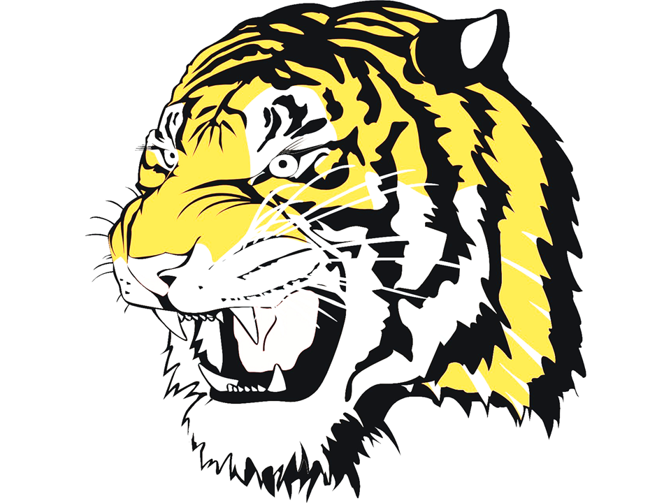 TCSTigerSports Profile Picture