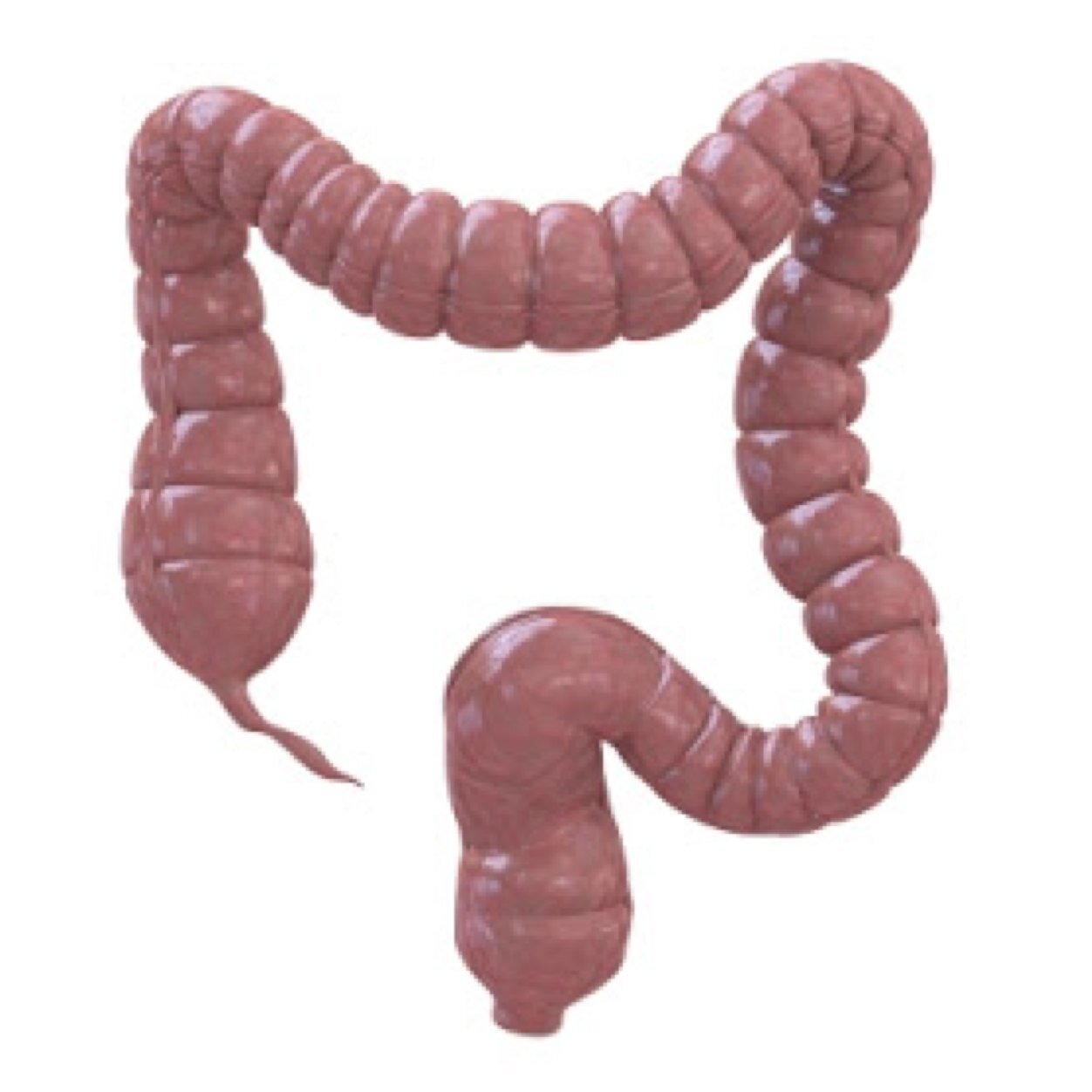 Información actualizada de #Coloproctología. patologías del #Colon, #Recto y #Ano