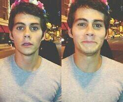 Im not adorable I'm an awkward turtle