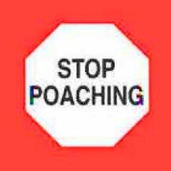 Help to end poaching in America, and all over the world! Spread the awareness of this illegal act and together we can #StopPoaching2014