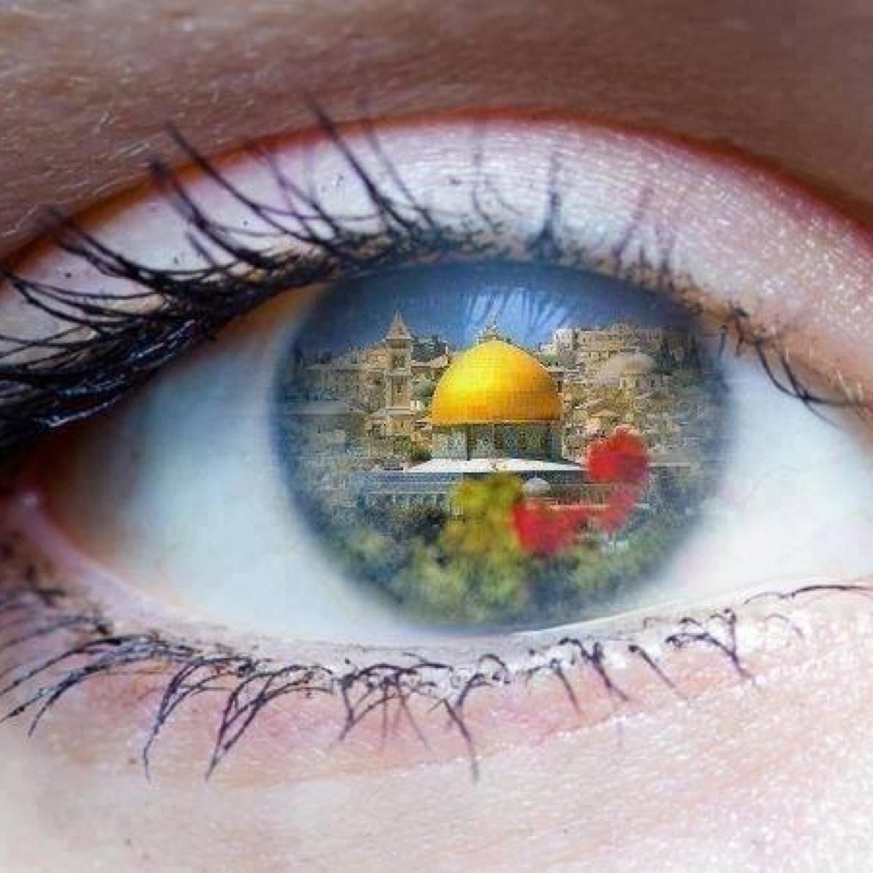 mohdbess's profile picture. ان الله لا يضيع اجر من احسن عملا