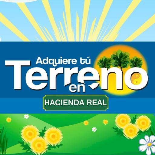 Los mejores precios para tu patrimonio