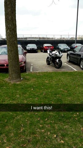 bourne_melvin's profile picture. 