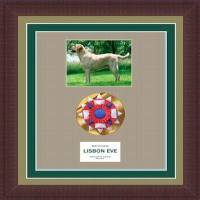 Museum-quality framing of dog show ribbons and memorabilia