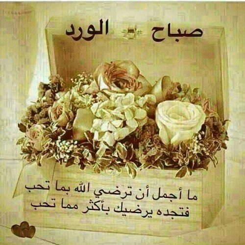 الحياة قصيره