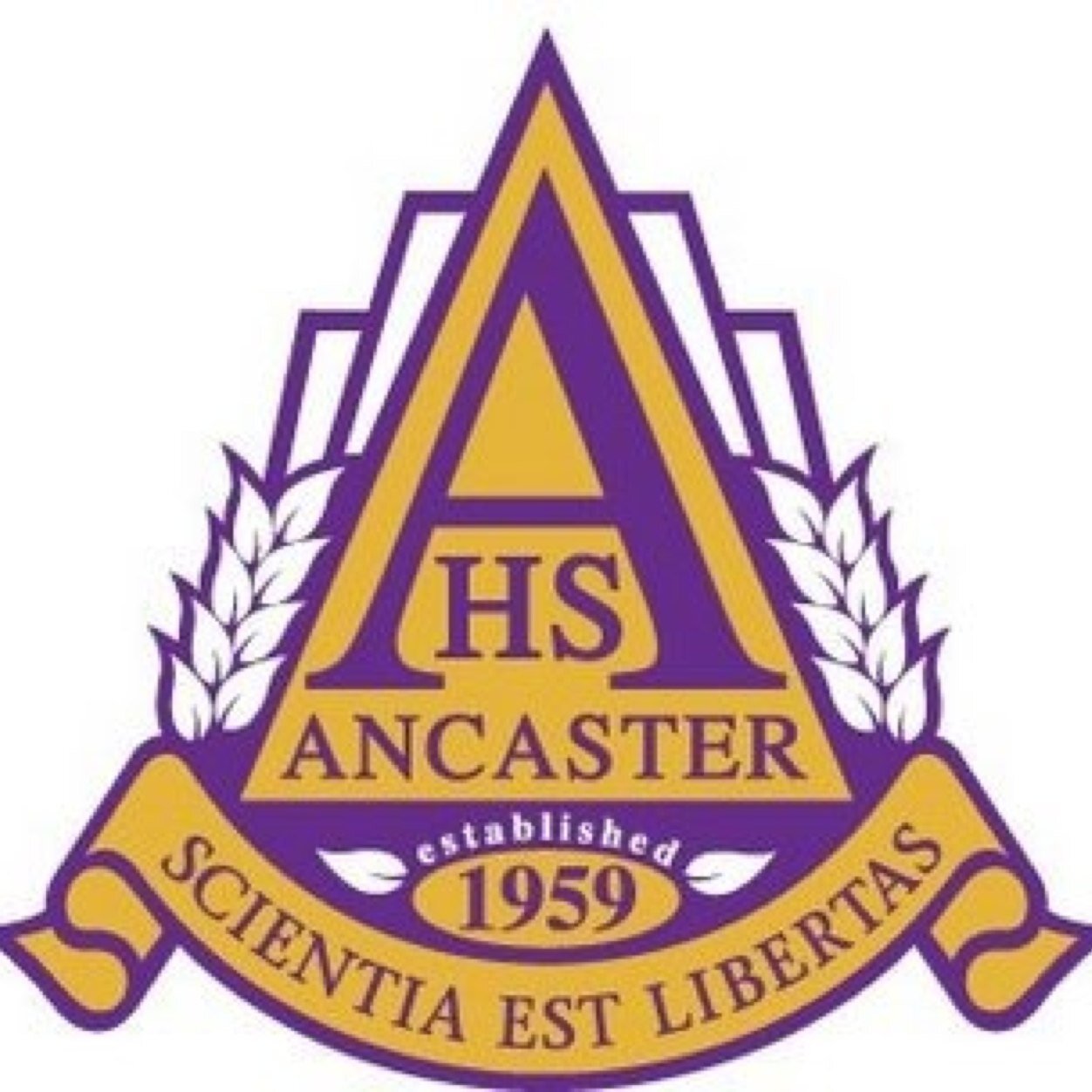 cut_team's profile picture. 