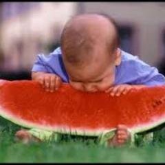 pisikopatkarpuz's profile picture. İçi kıpkırmızı. Çekirdekli. Ferahlatıcı. Kesmece.Kısaca KARPUZ