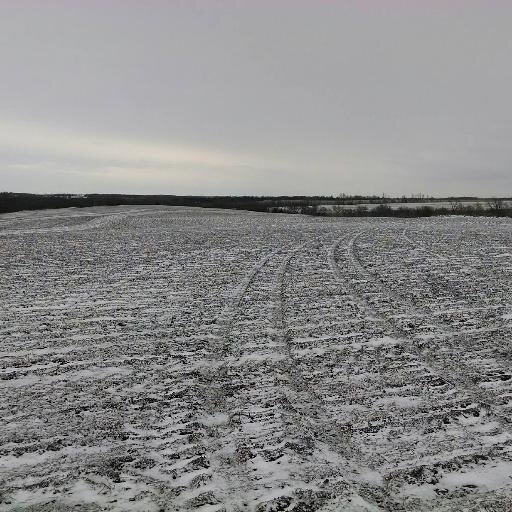 MEDAgronomy's profile picture. District Agronomy Agent, Meadowlark Extension District (JA, JF, NM Counties) in Northeast Kansas