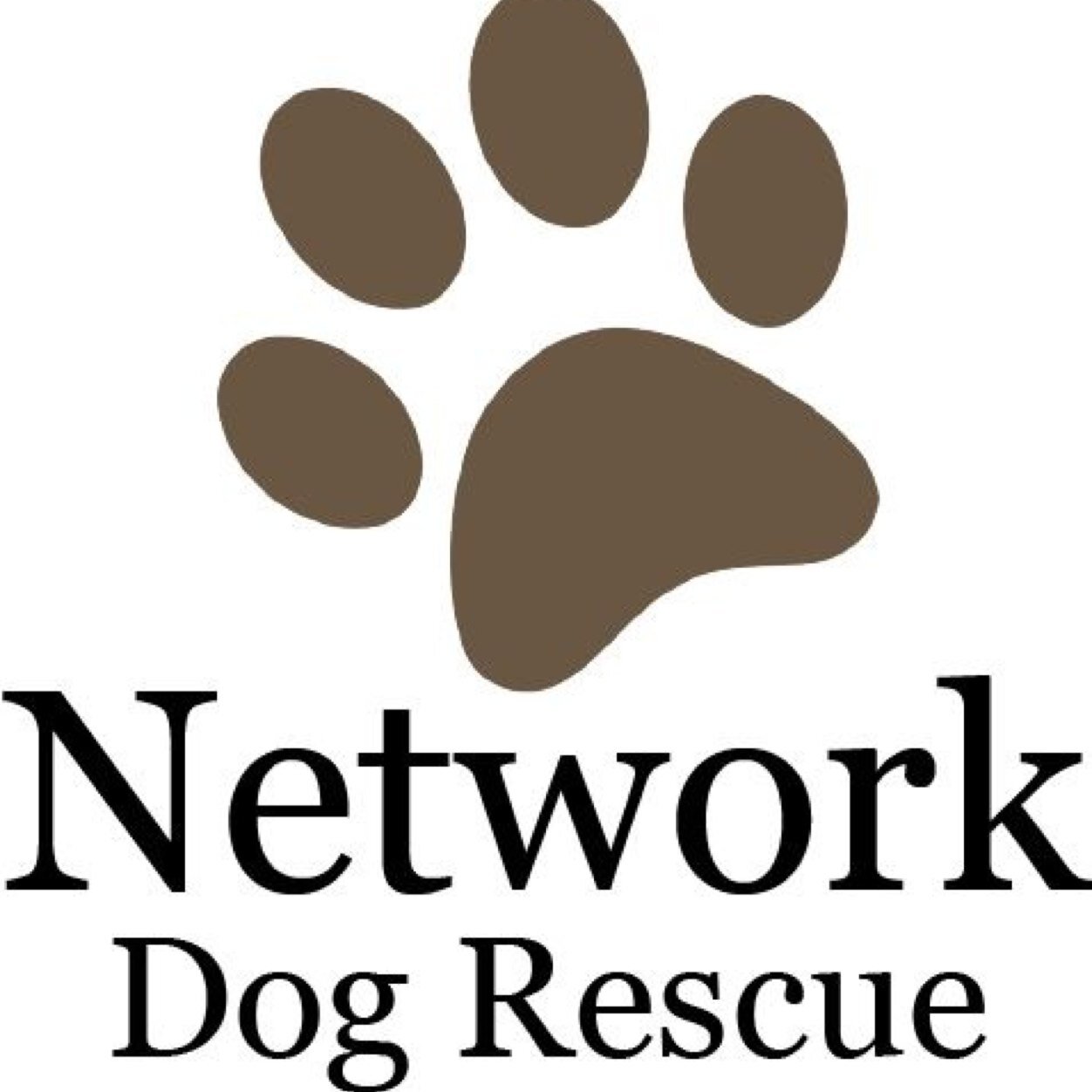 We are a dog rescue trying to find the best homes for our dogs