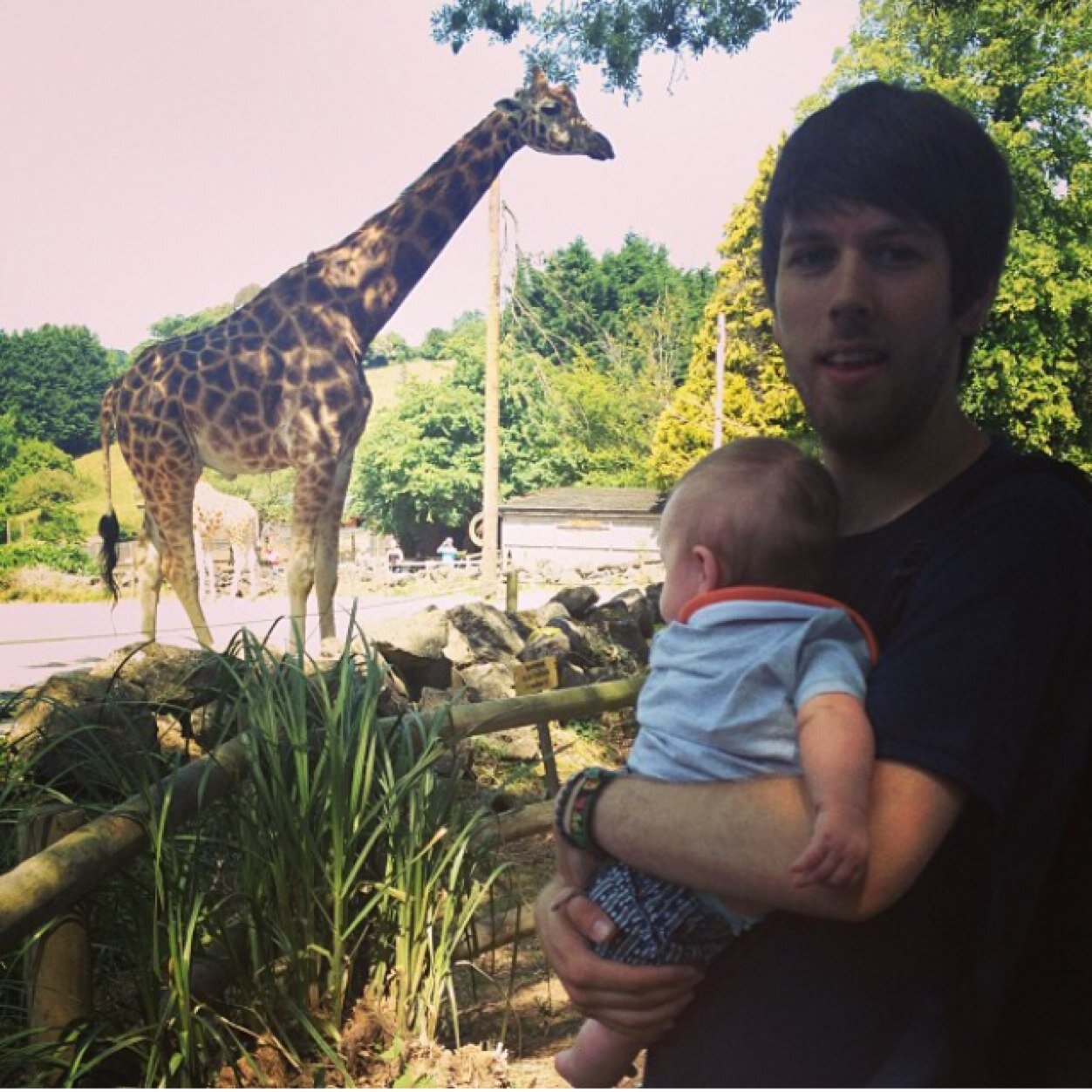 AntDaley90's profile picture. Follower of Man United and lover of music! Boyfriend to Brooke and Dad to Noah Oliver
Season ticket holder W3102