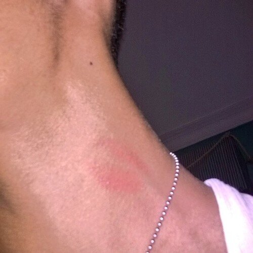 JRamirez0317's profile picture. Dominican Republic - 1||03||14 :$