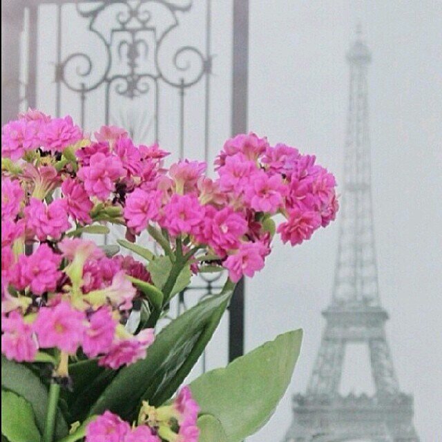 استغفر الله وأتوب اليه ..... ♥