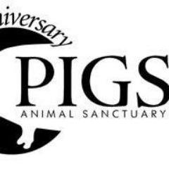 FOUNDED IN 1992, PIGS, A SANCTUARY is a place of refuge for abused, abandoned, neglected and unwanted farm and domestic animals.