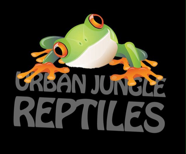 Reptile Breeder 
We are working with high end bearded dragons, leopard geckos, crested gecko & uromastyx philbyi plus few other types of lizard and gecko.