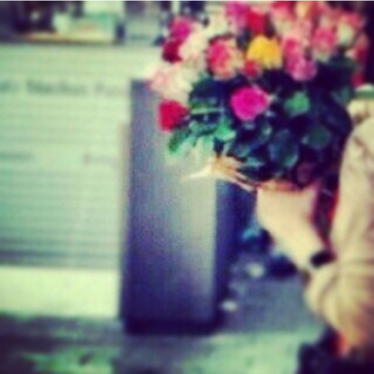 btoo550's profile picture. 