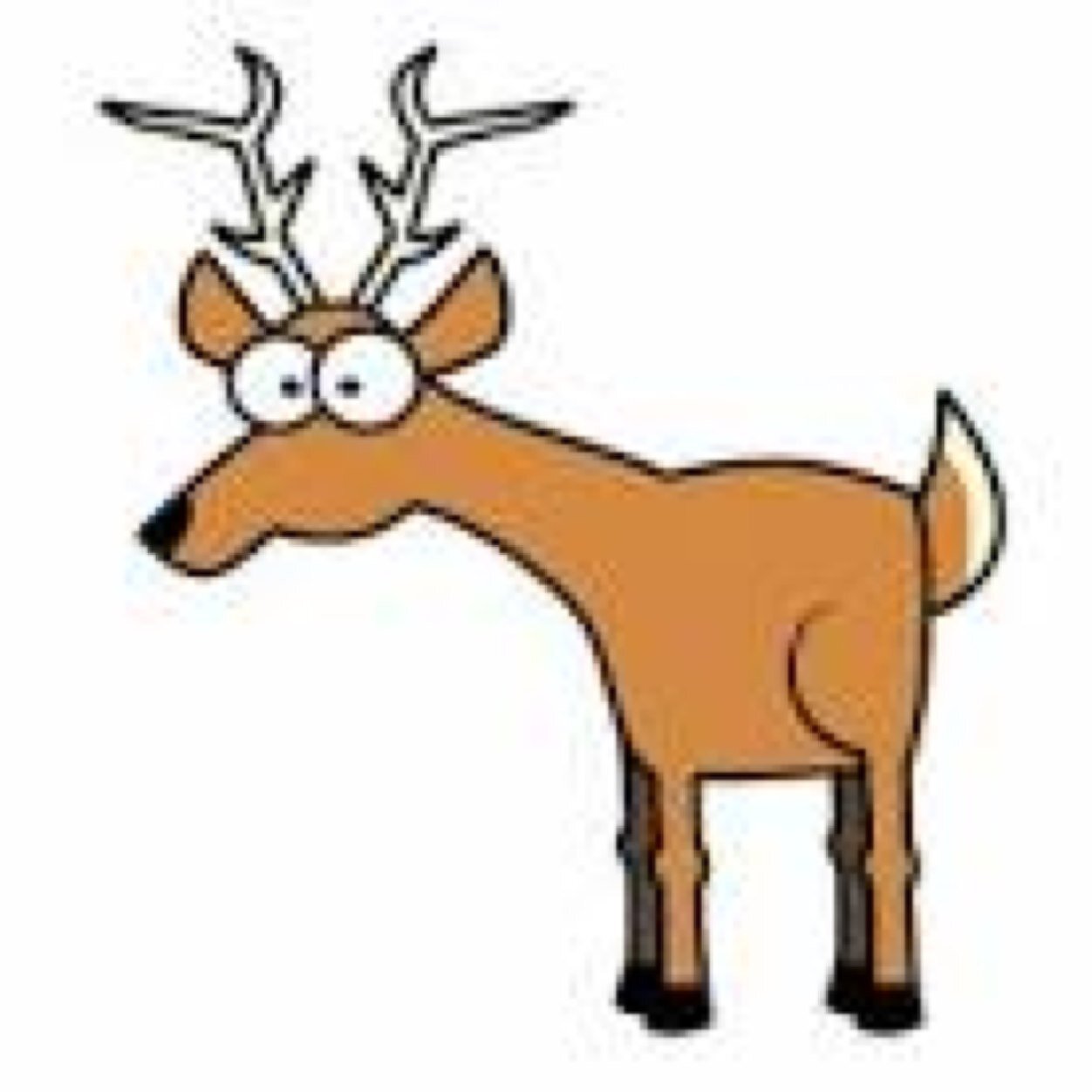 Deer are very interesting creatures if you get to know them