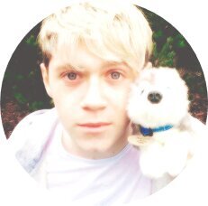 FREE FOLLOW FROM @NARRYSMERMAID SO PLEASE FOLLOW !!