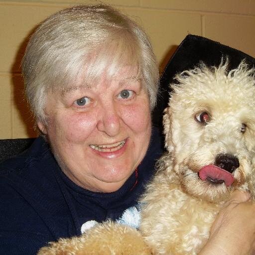 4PetSakeRescue's profile picture. We are a small & medium dog rescue