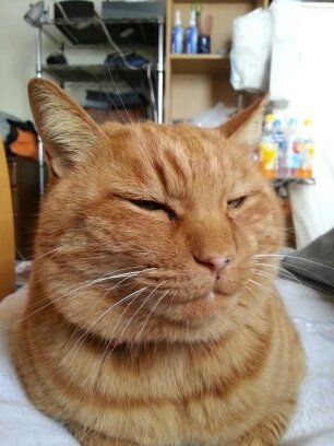あがるたさんのプロフィール画像