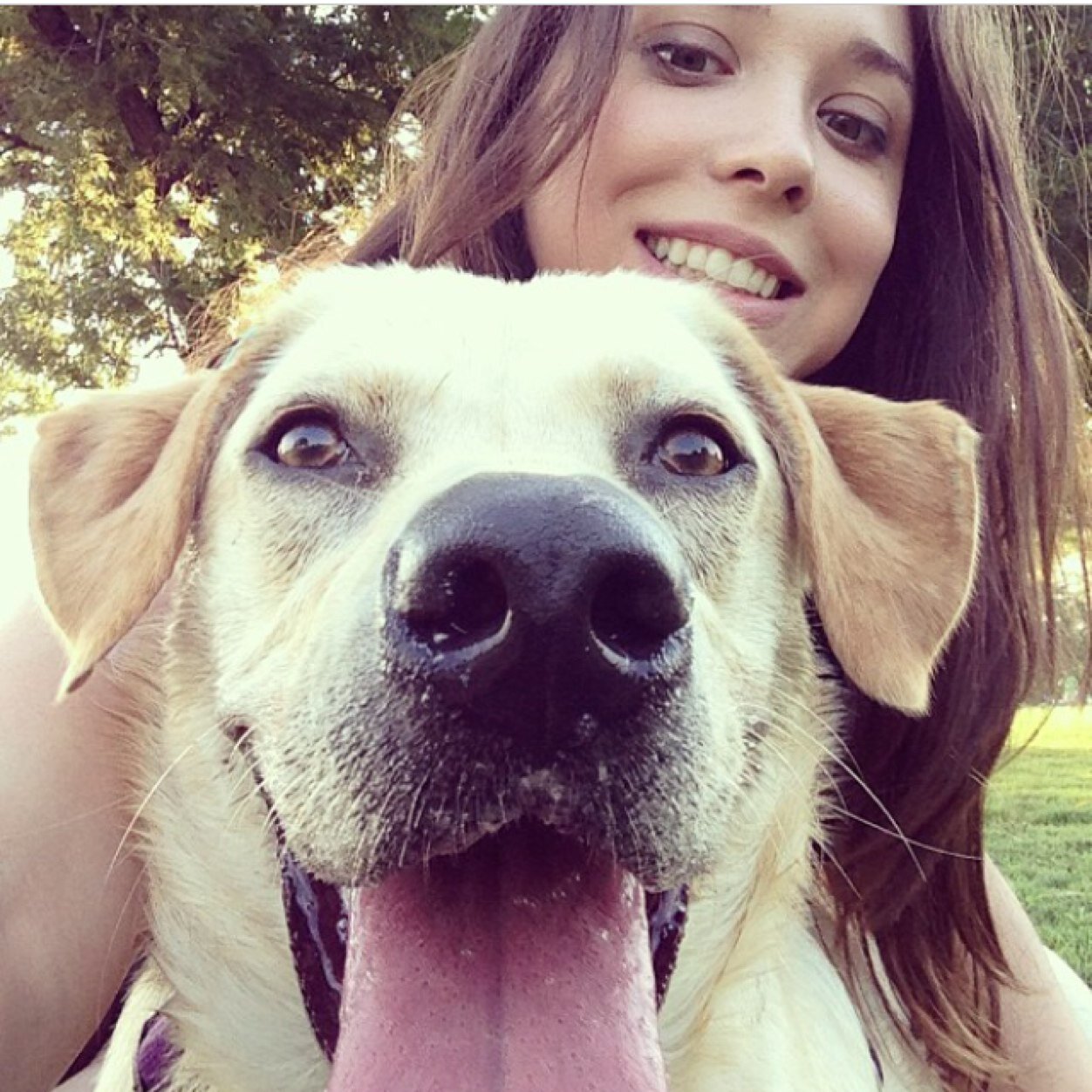 tina_hern's profile picture. Graphic Designer, Explorer, and Dog Fanatic. Enjoys #DailyAnchor, beer, yoga, and a sunny day.