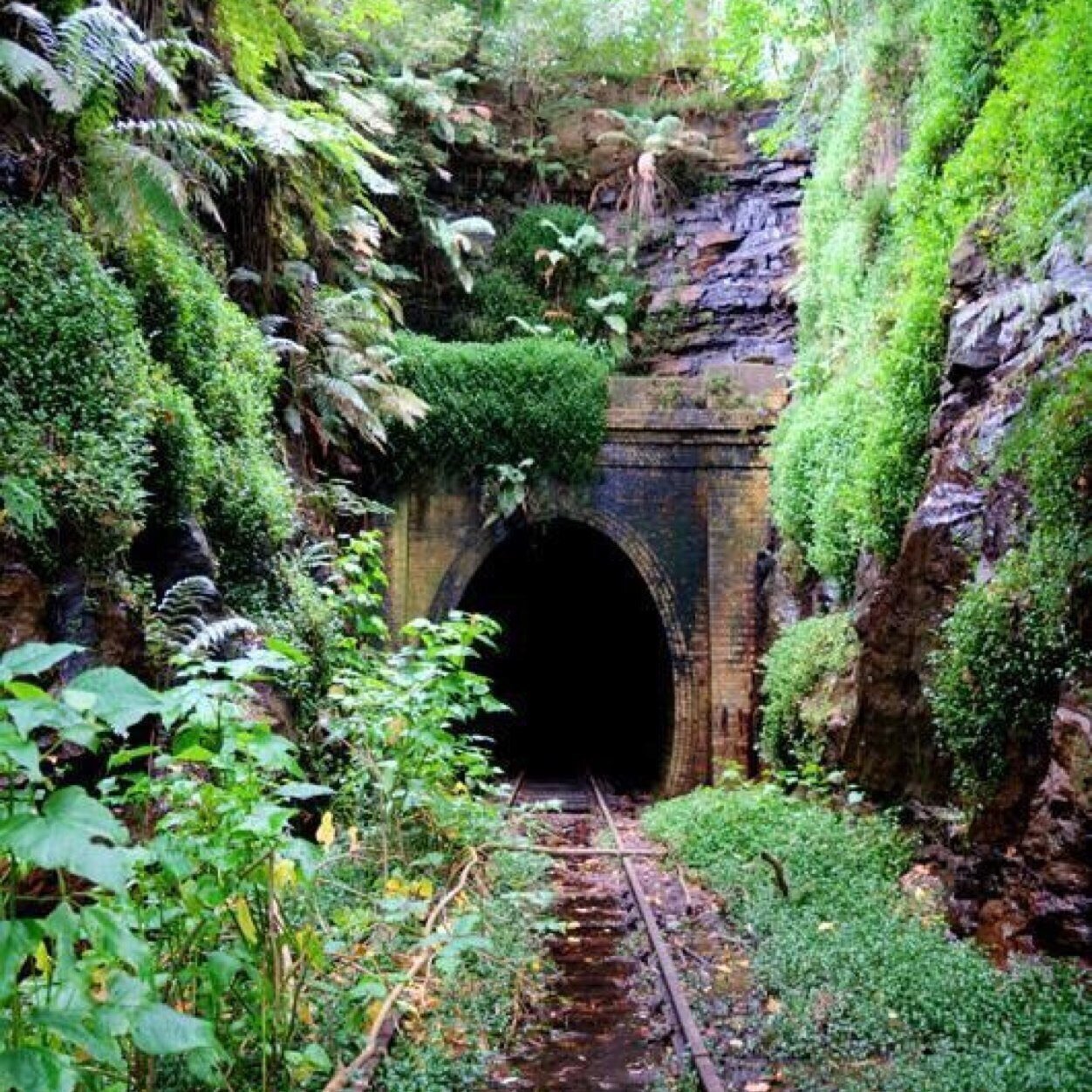 abandplaces's profile picture. I'm just an average girl obsessed with broken down places. A few of the pictures will be my own from my adventures, others will be from photographers! Enjoy!