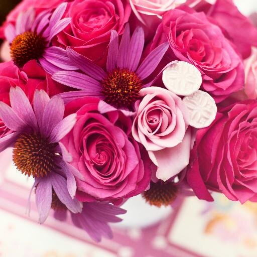 SarRo0onH_'s profile picture. 