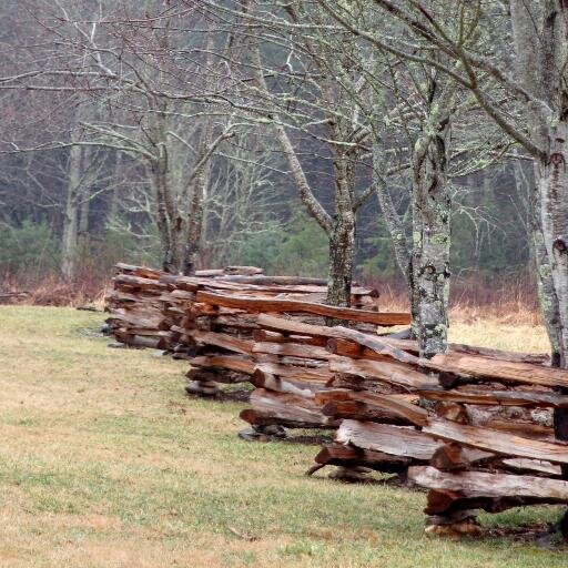 dreadnought1953's profile picture. Particular Baptist. Retired College history/public speaking instructor. RT/Follow does not imply endorsement. Paleo-Con. Glorify God and enjoy Him forever.