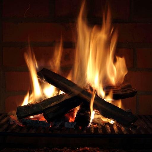 ecokominek's profile picture. 