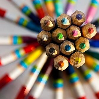 Animal lover, dream builder, color drawer, news feeder