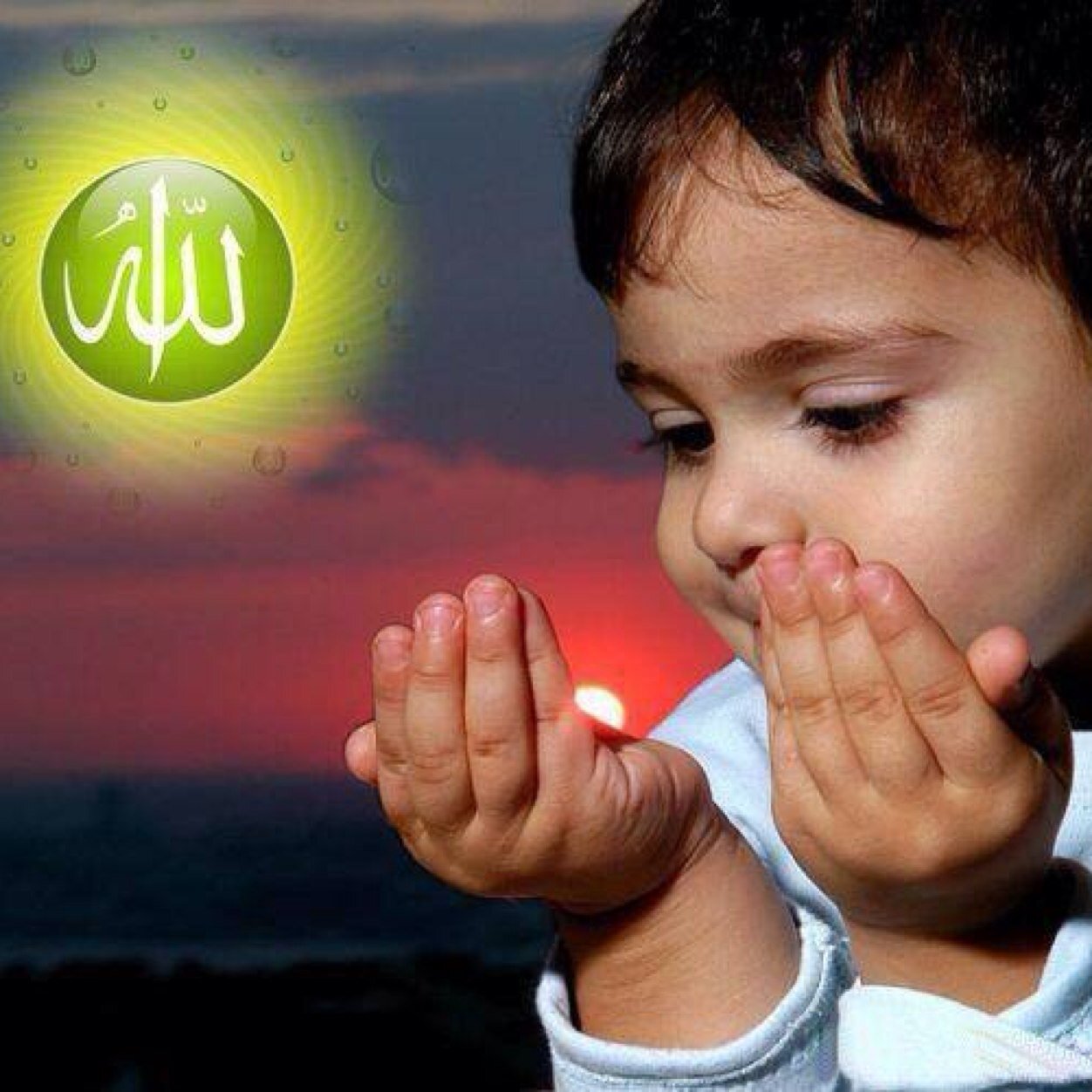 zubeda08's profile picture. 