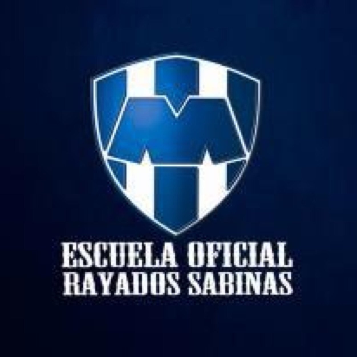 Escuela Oficial del Club Rayados Monterrey