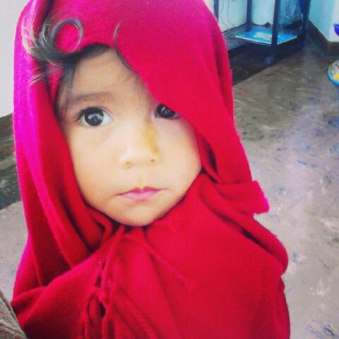 Totally in love with my wife, son and future daughter, Bibliotecologo y Amante del futbol y el Deporte!!!