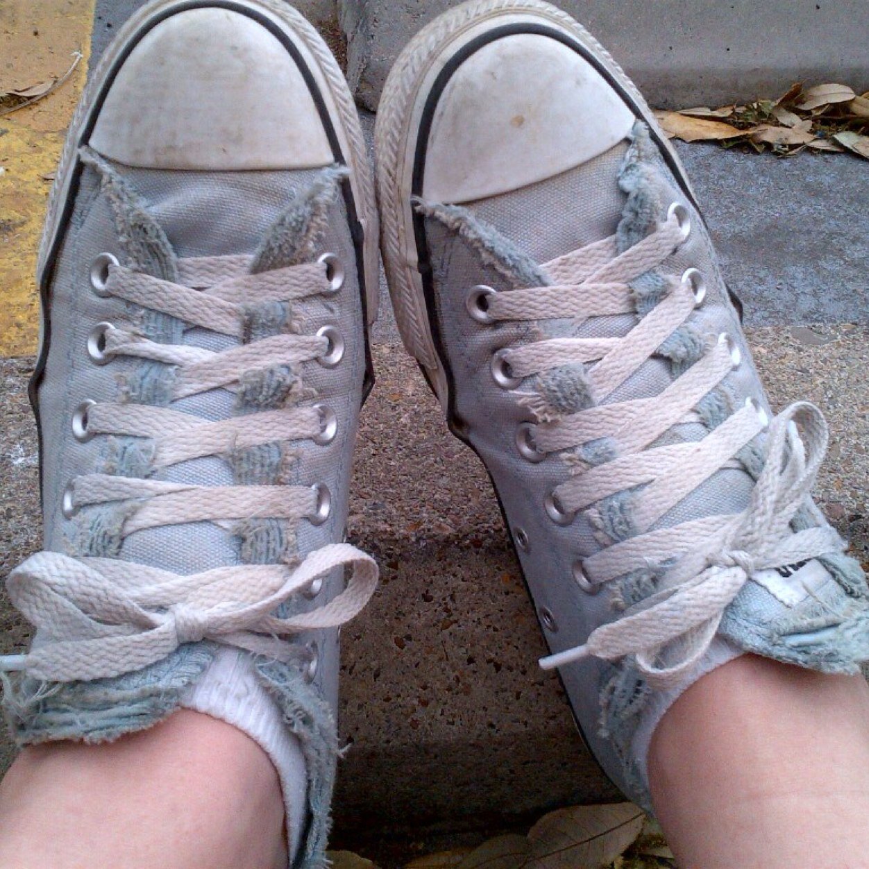 mrsalcove's profile picture. Realtor/Associate Broker