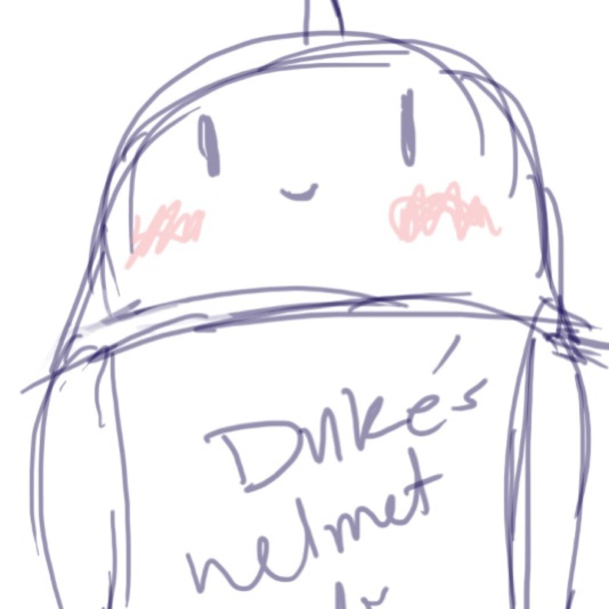 NotTheDukeFF's profile picture. Im surrounded by idiots